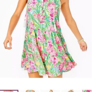 Lilly Pulitzer Carolane dress